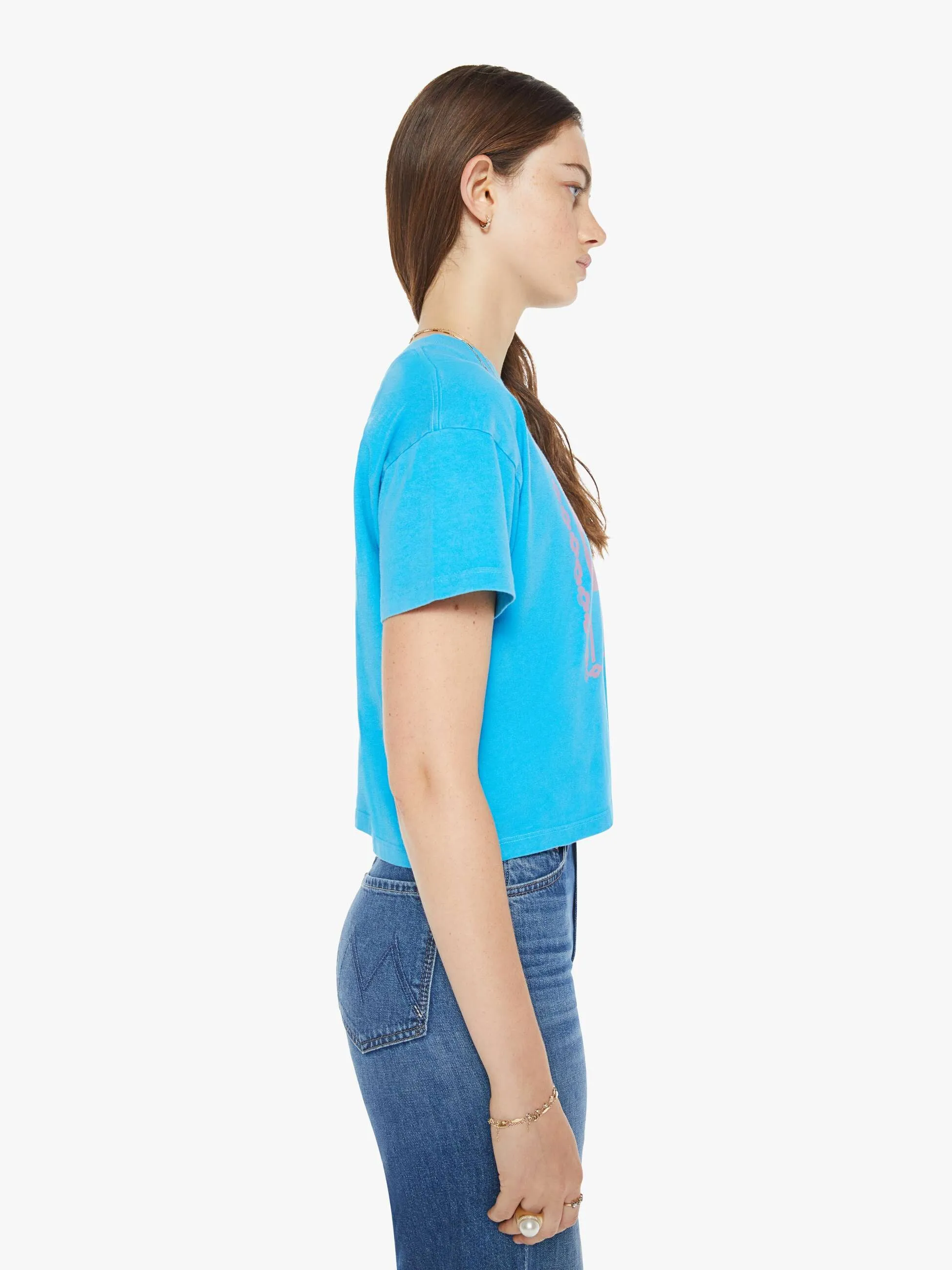 The Grab Bag Crop Tee - Amour