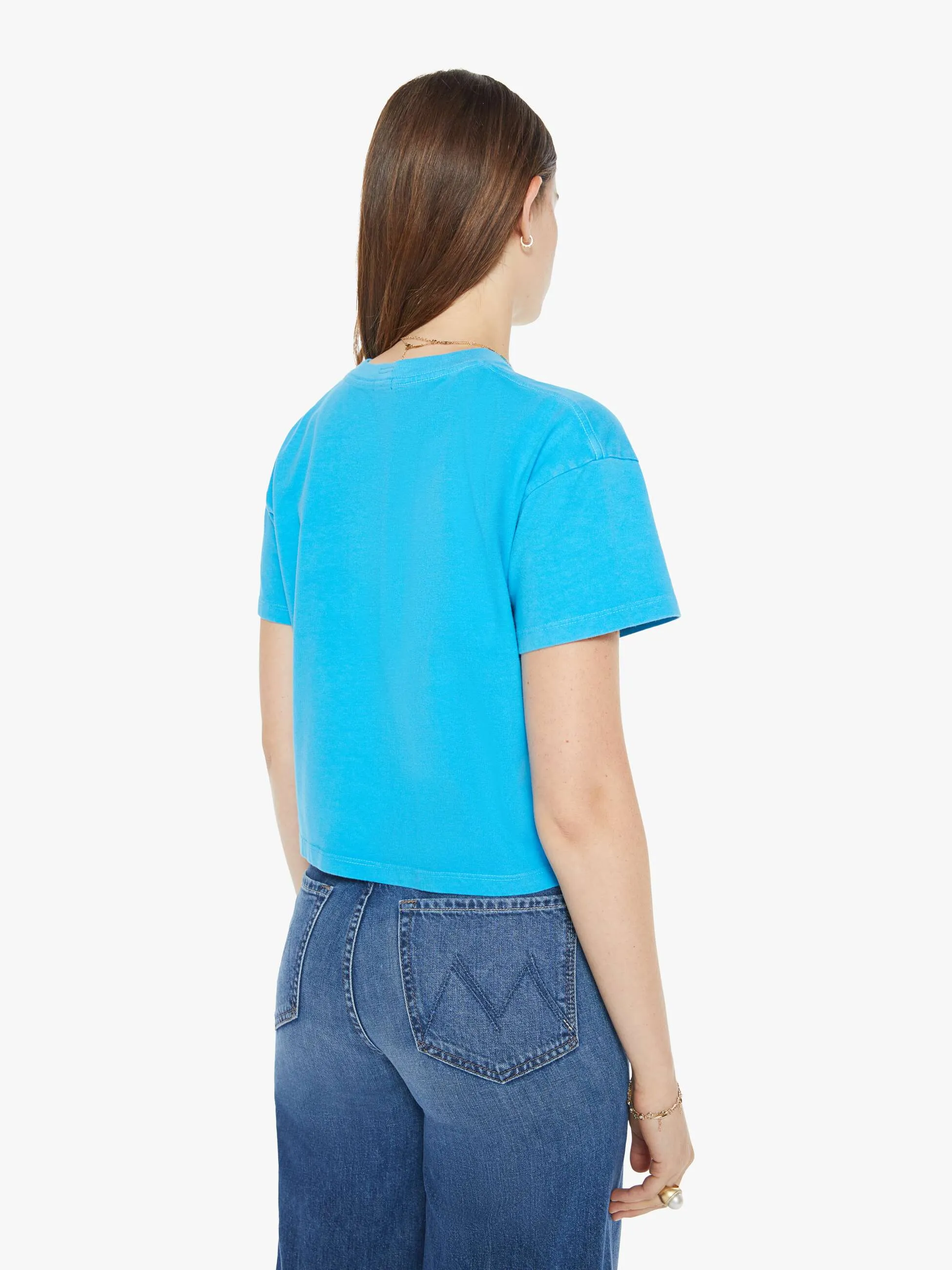 The Grab Bag Crop Tee - Amour